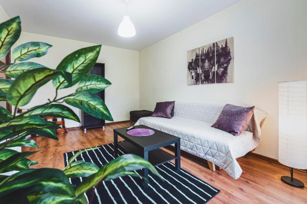 Apartament Niecala Queens Superior Lublin Eksteriør bilde